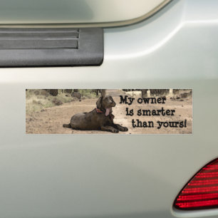 Het Bruine Puppy van de schattige Labrador Bumpersticker