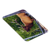 Het Bugler Elk Bull Magneet (Rechterzijde)