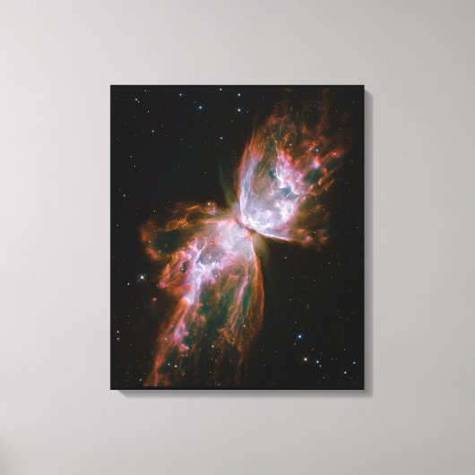 Het Butterfly-effect Canvas Afdruk (Voorkant)