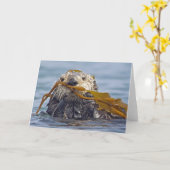 Het Californische Zee Otter is gehuld in Bull Kelp Kaart (Gele Bloem)