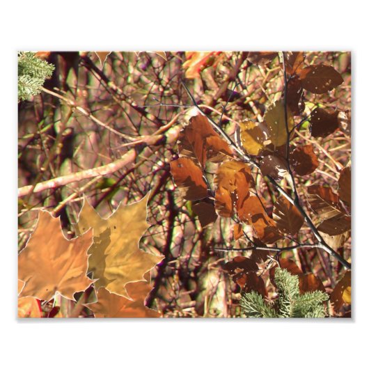 Het Camouflage schilderen van Hunter past dit aan! Foto Afdruk (Voorkant)