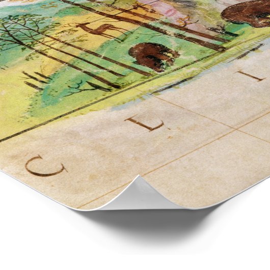 Het Canadese bos Poster (Hoek)