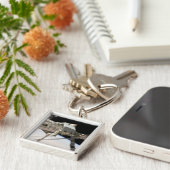 Het Canadese Dextre-roboticasysteem Sleutelhanger (Zijkant)