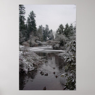 Het centrale park van Burnaby: Halfdiepgevroren on Poster