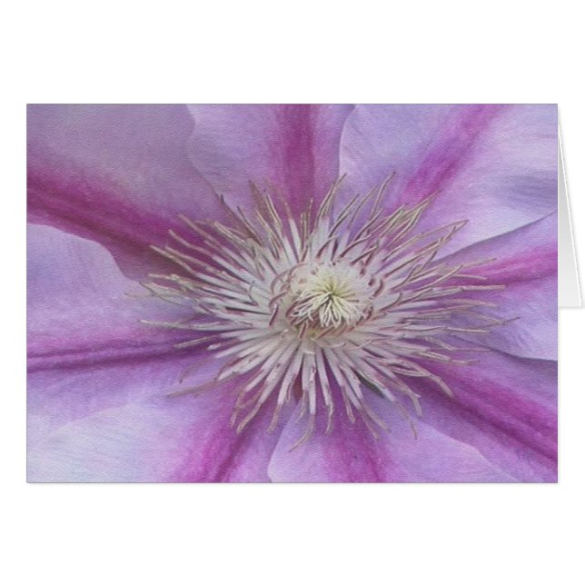 Het centrum (Voorkant Horizontaal)