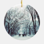 het centrum van het park in de winter keramisch ornament (Achterkant)