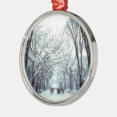 het centrum van het park in de winter metalen ornament (Links)