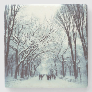 het centrum van het park in de winter stenen onderzetter