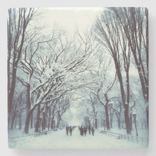 het centrum van het park in de winter stenen onderzetter (Voorkant)