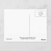 Het centrum van Jacksonville op 4 juli Briefkaart (Achterkant)