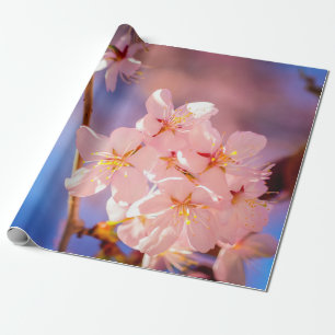 Het charmeren van de Sakura-bloemen in het voorjaa Cadeaupapier