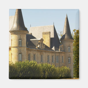 Het Chateau Baron Pichon Longueville in Magneet