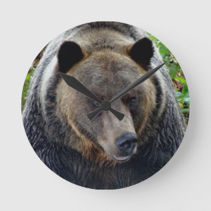 Het Close-up van de grizzly Ronde Klok