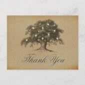 Het  Collectie van de Oak-boom Briefkaart (Voorkant)