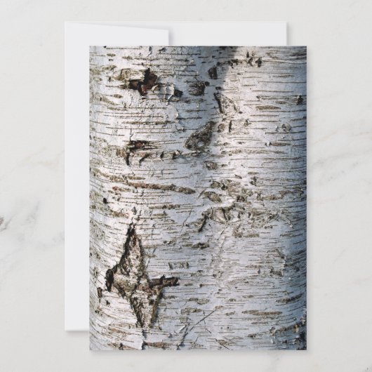 Het Collectie van de Rustic Silver Birch Tree Wedd Kaart (Achterkant)
