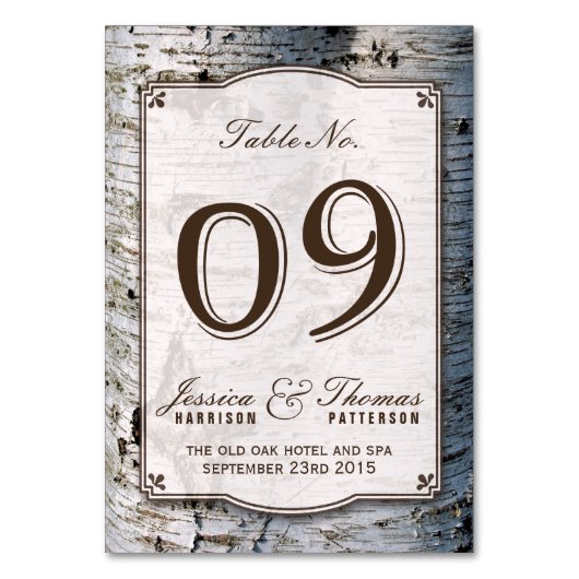 Het Collectie van de Rustic Silver Brondenbruiloft Kaart (Voorkant)