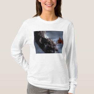 Het concept van de diepgravende botenteller van de t-shirt