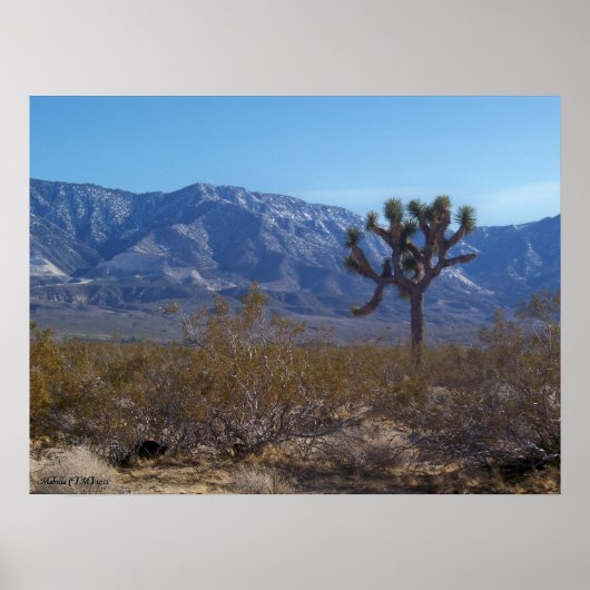 Het contrast poster (Voorkant)