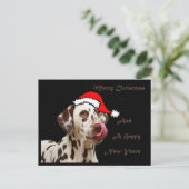 Het Dalmatische Briefkaart van Kerstmis (Staand voorkant)