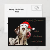 Het Dalmatische Briefkaart van Kerstmis (Voorkant / Achterkant)