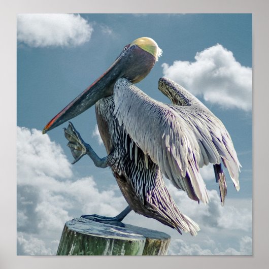 Het dansende Pelican-Poster Poster (Voorkant)