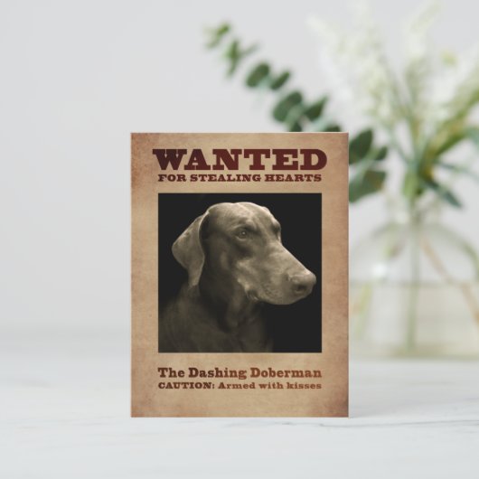 Het Dashing Doberman-Briefkaart Briefkaart (Staand voorkant)