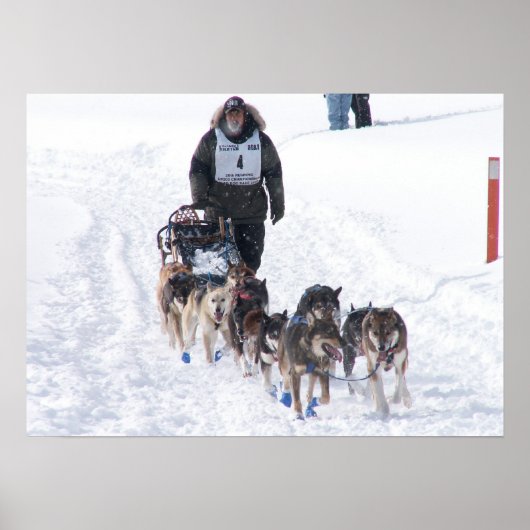 Het definitieve Poster van de Rek (Voorkant)