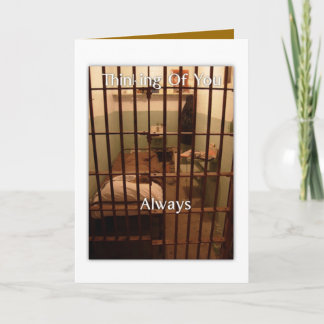 Het denken aan u altijd kaart