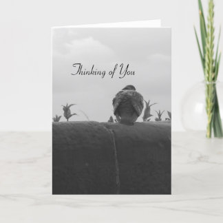 Het denken aan u Duif Kaart