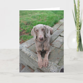 Het denken aan u kaart