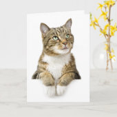 Het denken aan u Kaart (Gele Bloem)