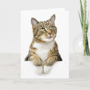 Het denken aan u Kaart