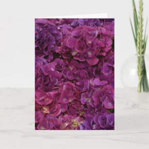 Het denken aan u kaart met roze hydrangea
