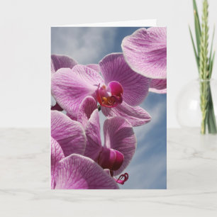Het denken aan u Wenskaart, Mooie Orchidee Kaart