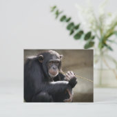 Het denken over het Monkeying rond Briefkaart (Staand voorkant)