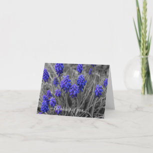 Het denken van de Familie van de Hyacinths van de Kaart