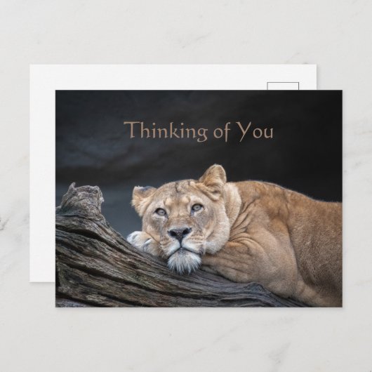 Het denken van u citeert het Briefkaart van het Af (Voorkant / Achterkant)