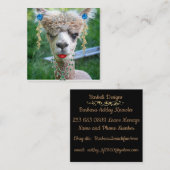 Het Design van Barbeli Vierkante Visitekaartje (Voorkant / Achterkant)