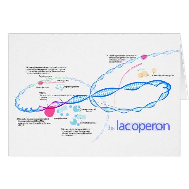 Het diagram van de Exploitatie van het laboratoriu (Voorkant Horizontaal)