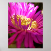 Het dichtere Poster van het Macro van de Natuur va (Voorkant)