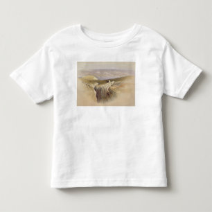 Het dode Zee kijkt naar Moab, Volume II Kinder Shirts