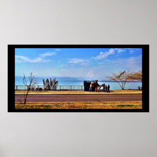 Het dode Zee Poster