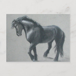 Het donkere paard briefkaart