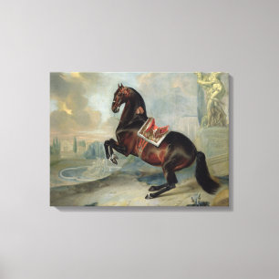 Het donkere paard 'Valido' Canvas Afdruk