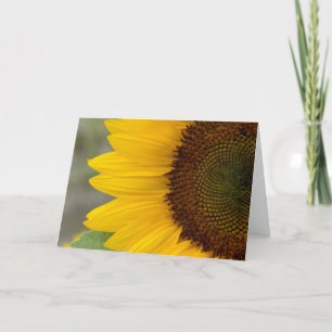 Het Donkere Recht van de zonnebloem Kaart