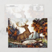 Het doodschot briefkaart (Voorkant / Achterkant)