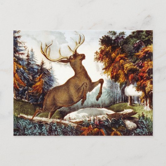 Het doodschot briefkaart (Voorkant)