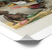 Het dorp Barber, bord 6 uit 'Indianen', engrav Poster (Hoek)