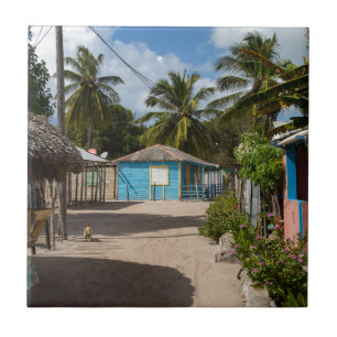 Het dorp Mano Juan in Saona Domenican Tegeltje