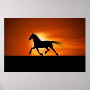Het draaiende paard poster